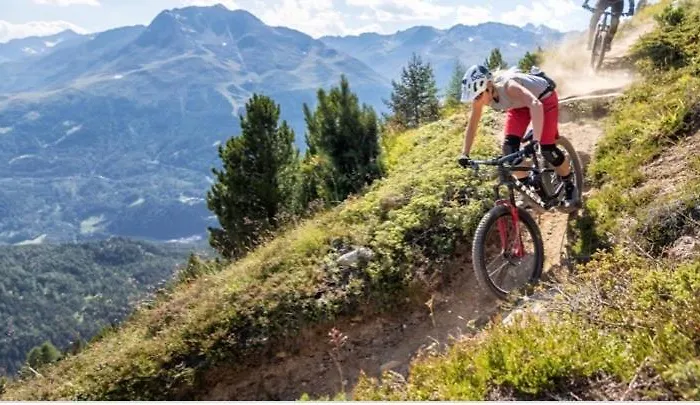 Altes Holzhaus זולדן